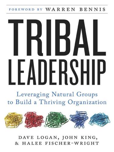 David Logan: Tribal Leadership (EBook, 2008, HarperCollins)